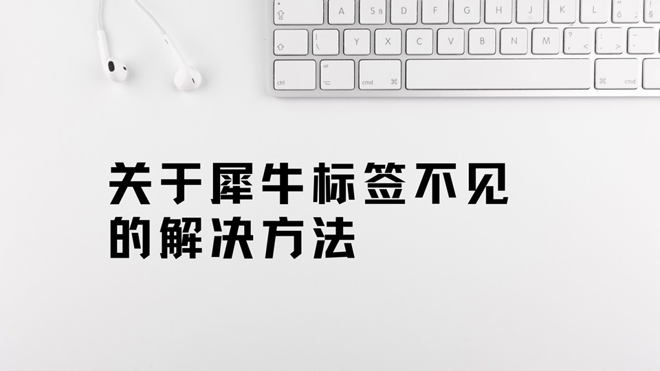 关于犀牛视窗左下角标签不见的解决方法